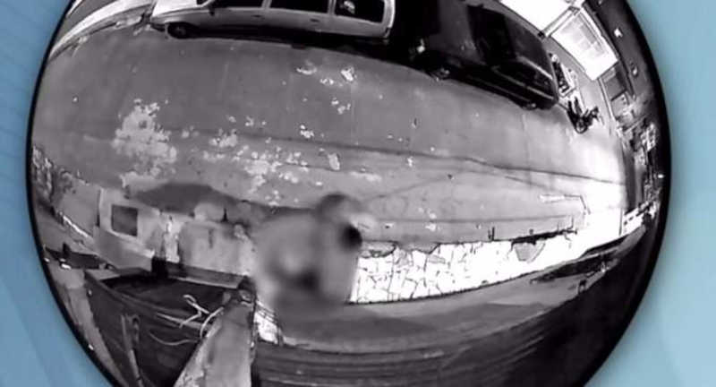Vídeo mostra momento em que tutor de cadela morta a facadas em Vitória (ES) resgata animal