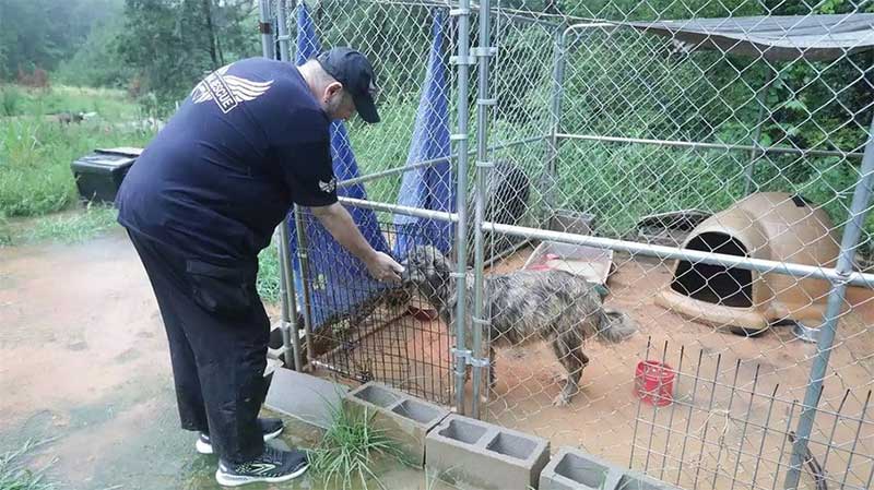 O local estava inundado e os cachorros sem água limpa ou qualquer alimento por vários dias. Reprodução/BISSELL Pet Foundation