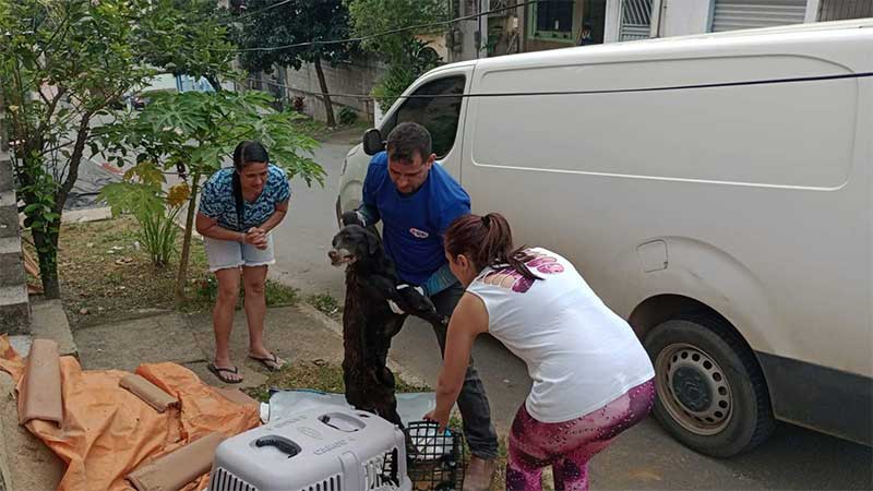 Cachorro é espancado e enterrado vivo em bairro de Cariacica, ES