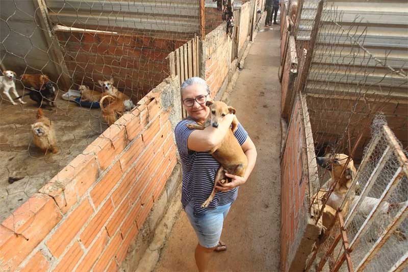 O abrigo Lar dos Animais foi criado em 2016 — Foto: Fábio Lima/O Popular