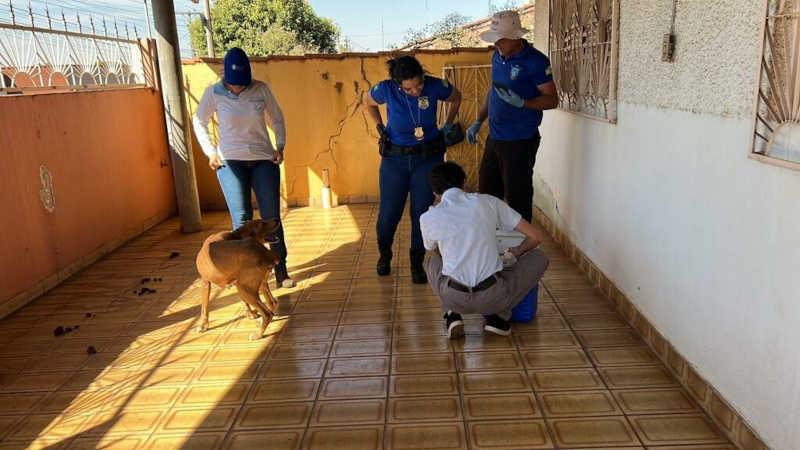 Tutor de cachorro é preso por maus-tratos em Inhumas