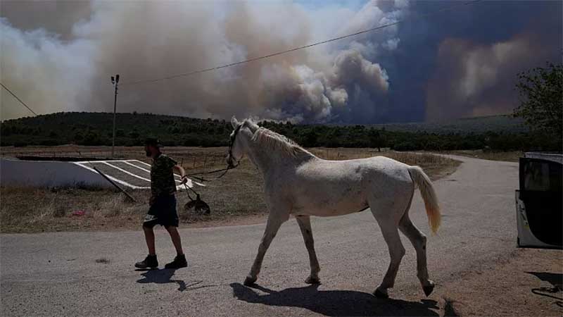 Homem retira um cavalo de um estábulo enquanto nuvens de fumo de um incêndio são avistadas ao fundo na vila de Pournari, perto de Atenas, Grécia, 18 de julho de 2023.AP Photo/Thanassis Stavrakis