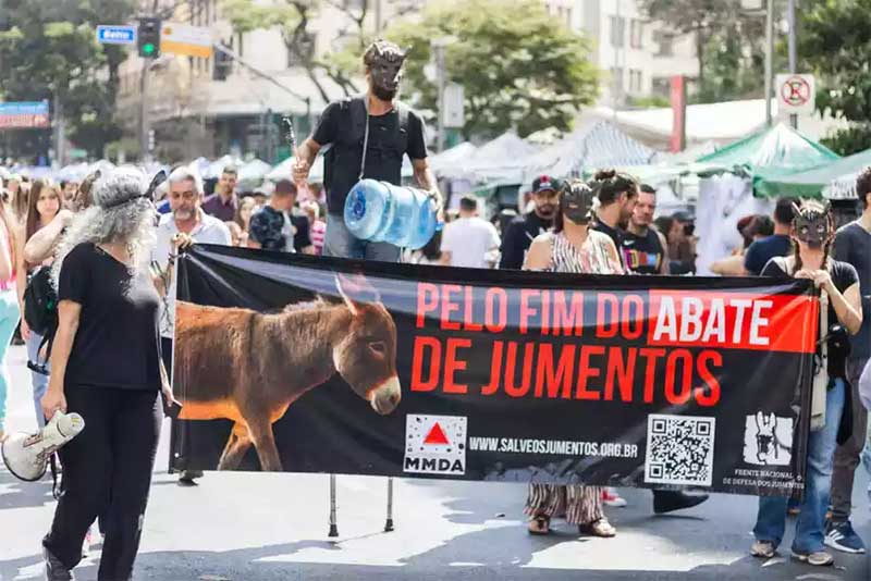 Protesto pede o fim do abate de jumentos em todo o Brasil
