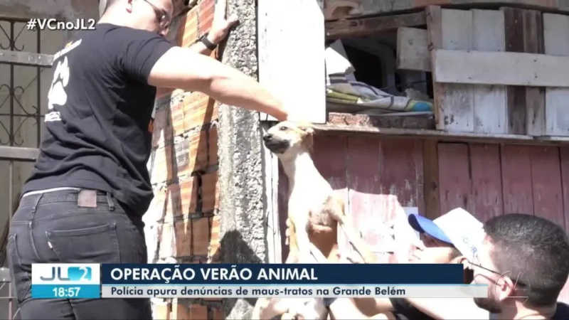 Cadela é resgatada pelo teto com sinais de maus-tratos em Ananindeua, PA