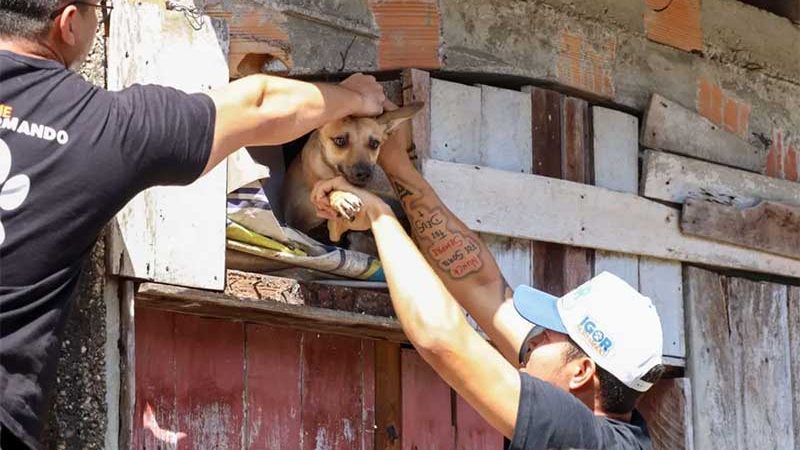 Operação flagra maus-tratos contra animais em várias residência na região de Belém, PA