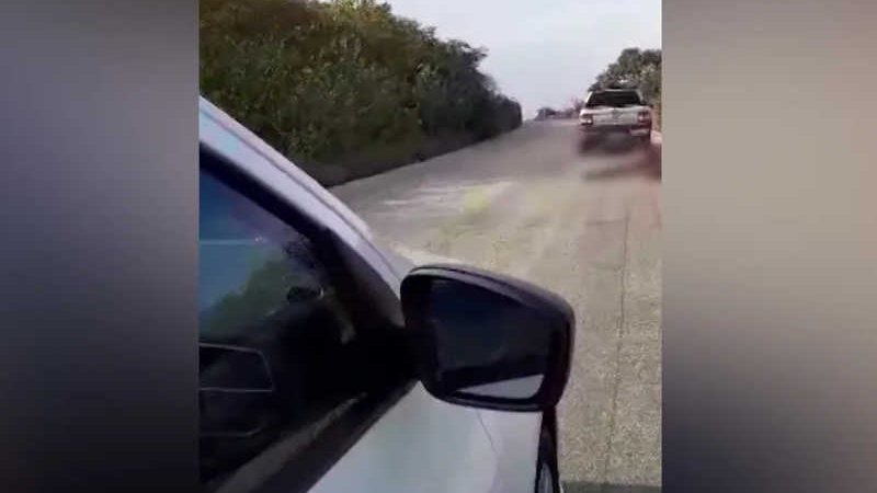 Vídeo mostra motorista de caminhonete arrastando animal em estrada do Sertão da PB