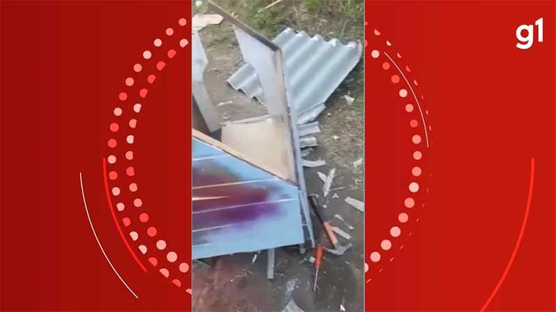 Homem é preso por destruir casinhas que abrigavam cachorros de rua em Curitiba