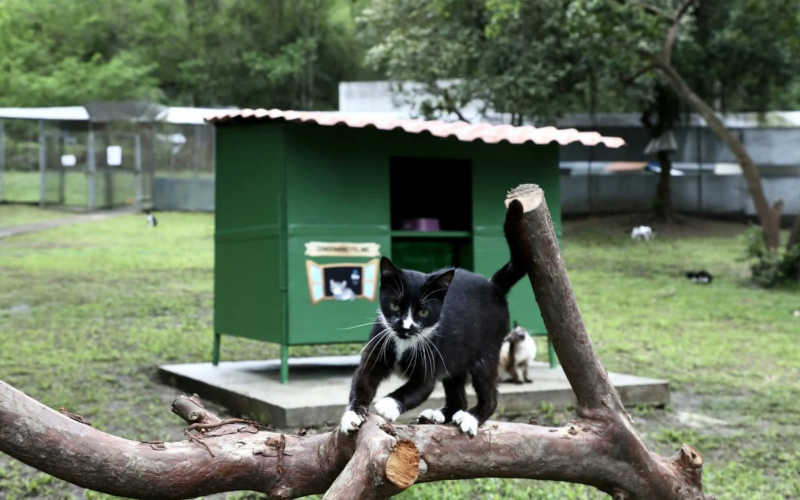 Locais onde ficam localizados os animais na Fazenda Modelo. Foto: Divulgação / Prefeitura do Rio