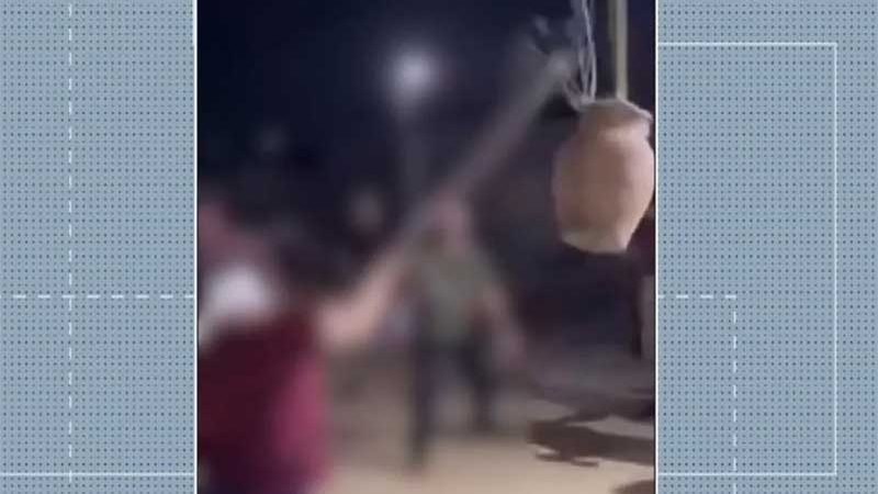 ‘Gato no pote’: vídeo mostra mulher quebrando objeto a pauladas com animal dentro; polícia investiga maus-tratos
