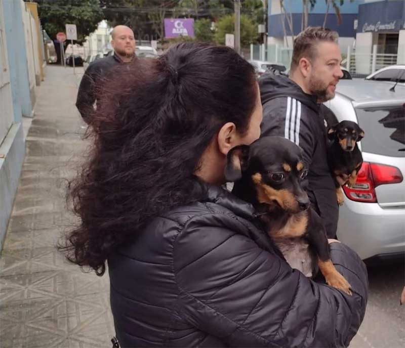 Cães e gato são resgatados em situação de maus-tratos em São José, SC