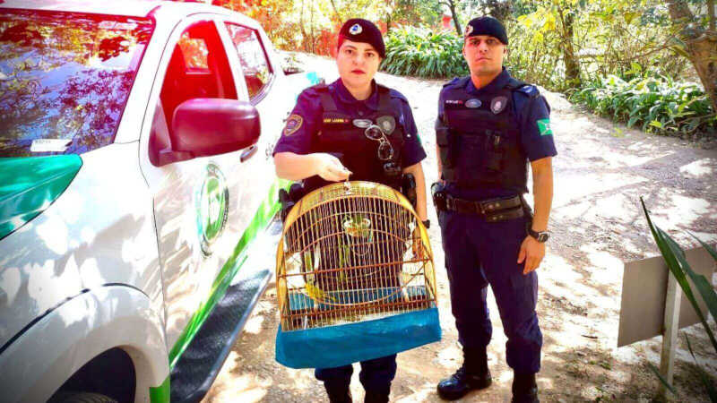 Guarda de Campo Limpo Paulista (SP) intercepta venda de animais silvestres