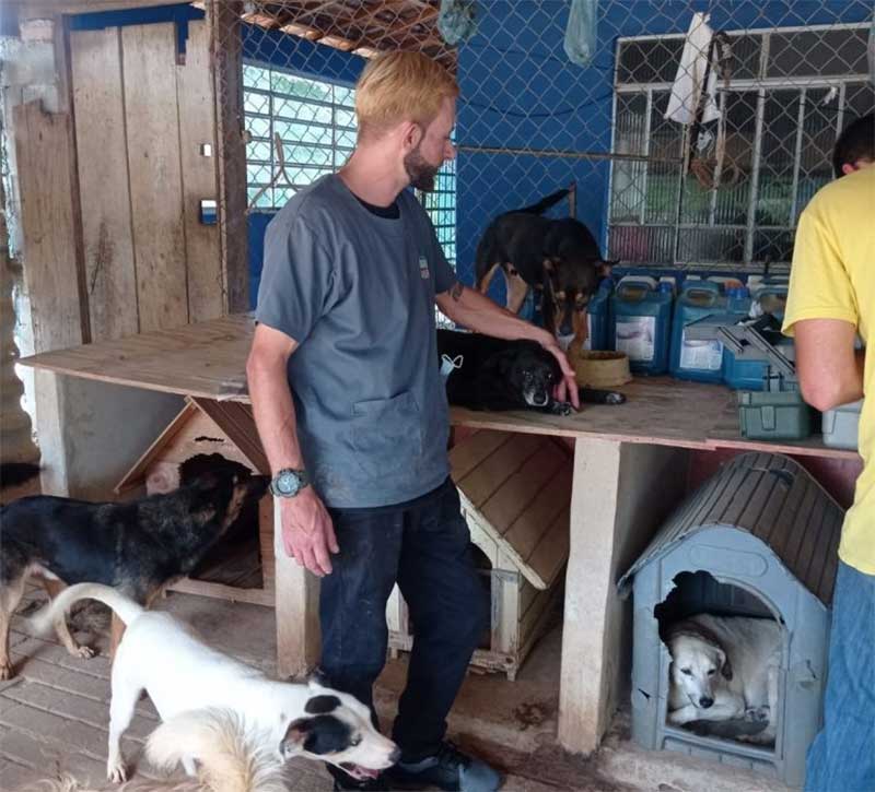 ONG UPA busca novos associados para não encerrar atendimento a animais em Lorena, SP