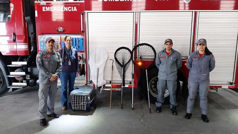 Cooperação. Louveira (SP) entrega equipamentos de resgate de animais silvestres aos Bombeiros