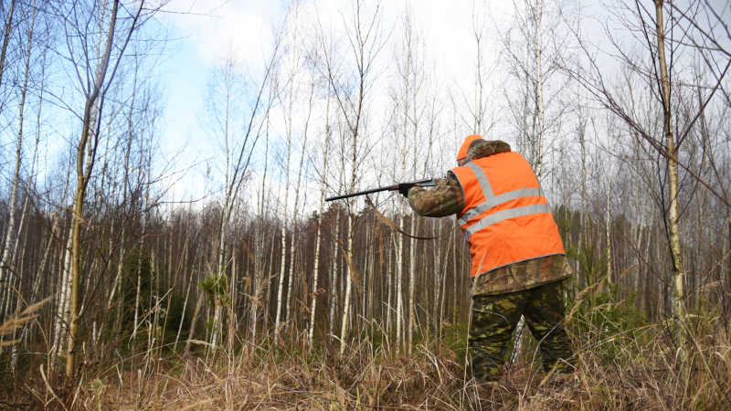Mais de uma arma sem registro é apreendida por dia com caçadores em SP