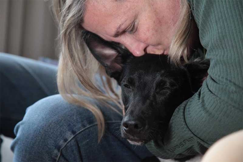 Cão tratado em Santos (SP) após paralisia por maus-tratos ganha amor em novo lar