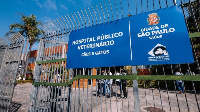 Saiba como funcionam os quatro hospitais veterinários públicos da capital paulista