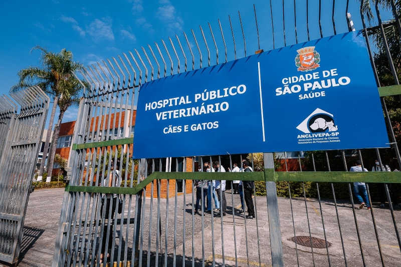 Saiba como funcionam os quatro hospitais veterinários públicos da capital paulista