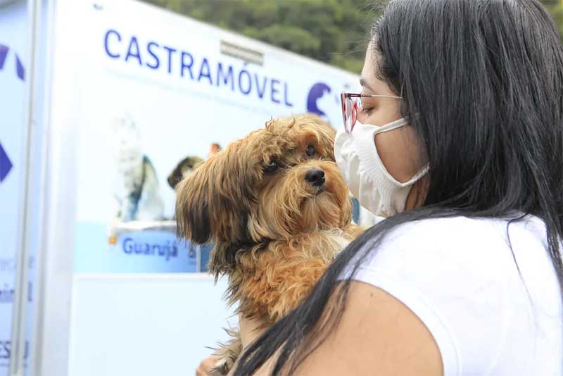 Santos e Guarujá (SP) adotam novos serviços para facilitar a castração animal