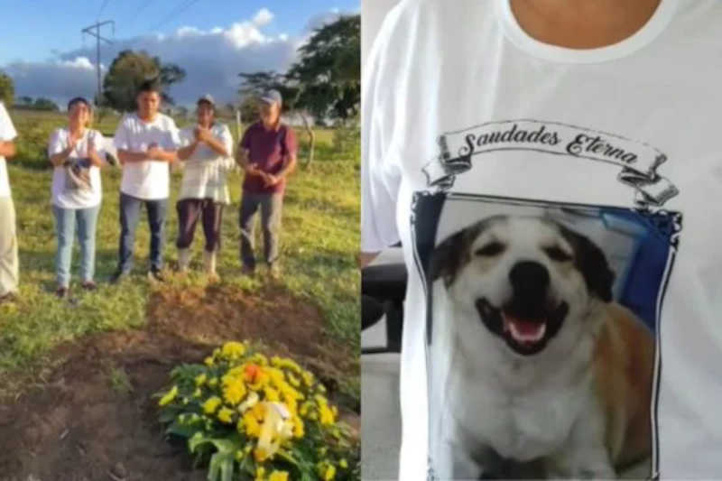 Detalhes do cortejo e enterro de vira-lata em município na Bahia emocionam a web