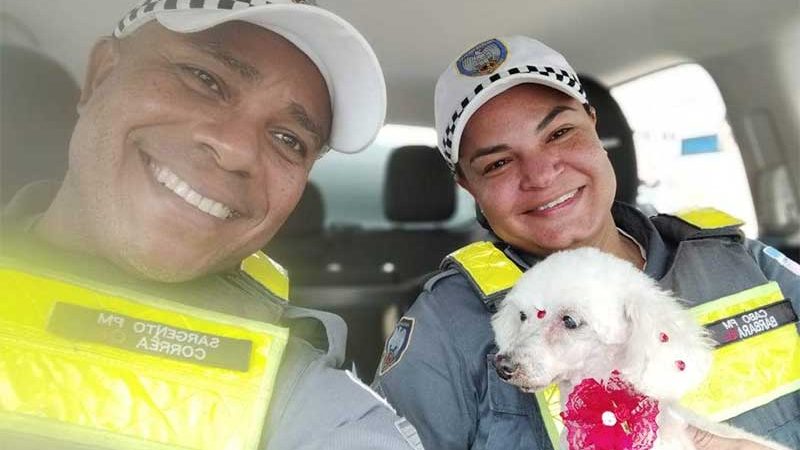 Cadela é resgatada por policiais em avenida de Cariacica, ES