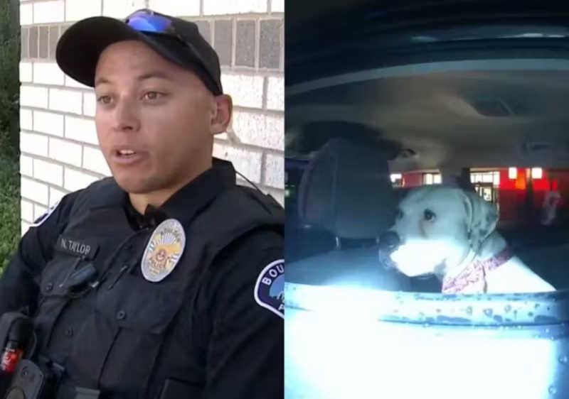 Policial encontra cachorra em carro roubado e adota a bichinha; vídeo