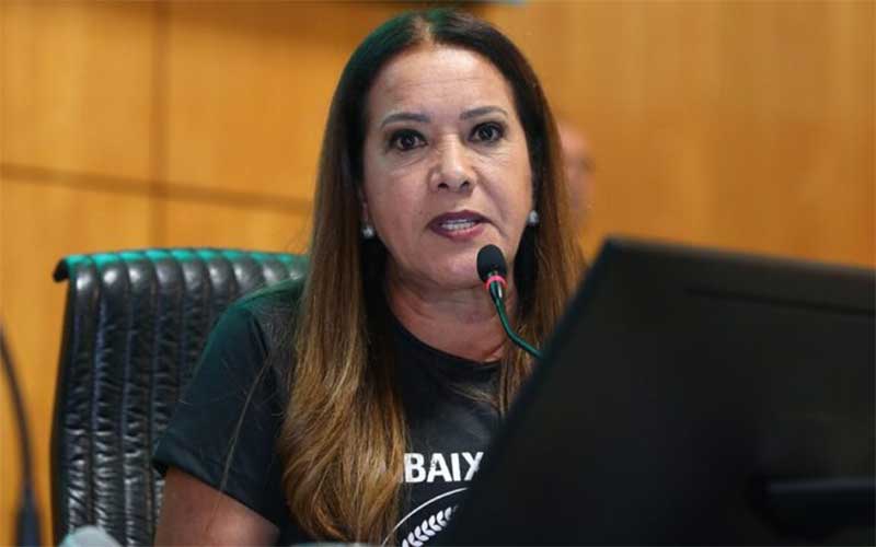 Janete de Sá é a proponente da lei. Foto: Ales