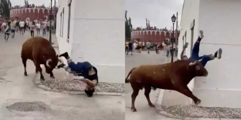 Ativista contra ‘touradas’ é atacada por animal enquanto gravava denúncia no celular