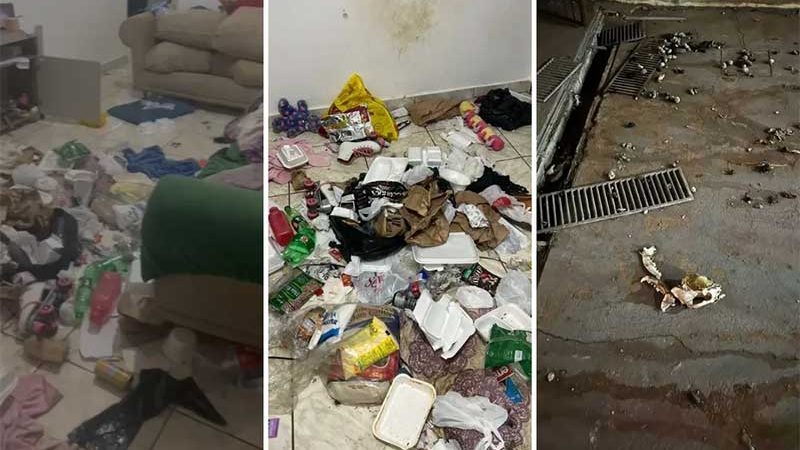 Cachorros são encontrados decapitados e em decomposição dentro de casa abandonada e cheia de lixo; vídeo