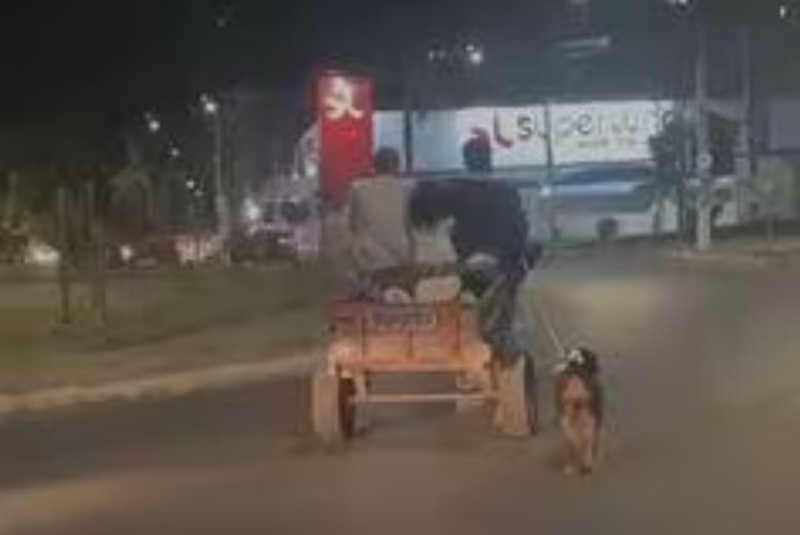 Vídeo flagra cachorro amarrado em corda sendo arrastado por carroça em Betim, MG