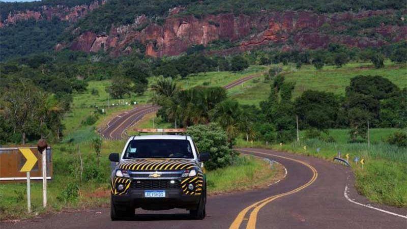 “Estrada Viva” amplia ações em rodovias para reduzir acidentes com animais silvestres em MS