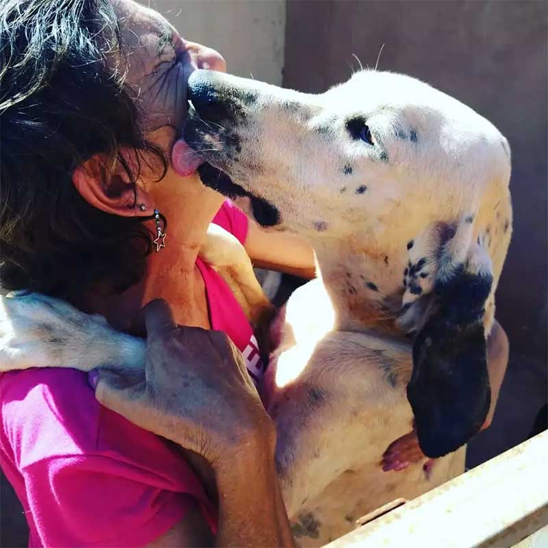 Kelly e um dos cães abrigados (Foto: Reprodução/Instagram) 