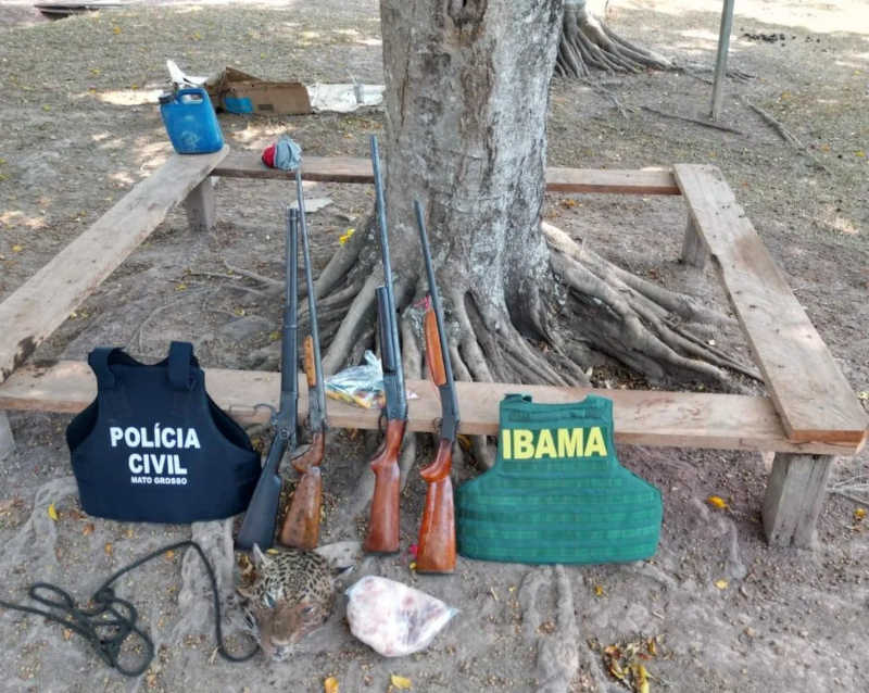 Polícia Civil do estado suspeita que o homem tenha matado, no último mês, pelo mesmo dois espécimes do animal silvestre — Foto: Divulgação / Polícia de Mato Grosso
