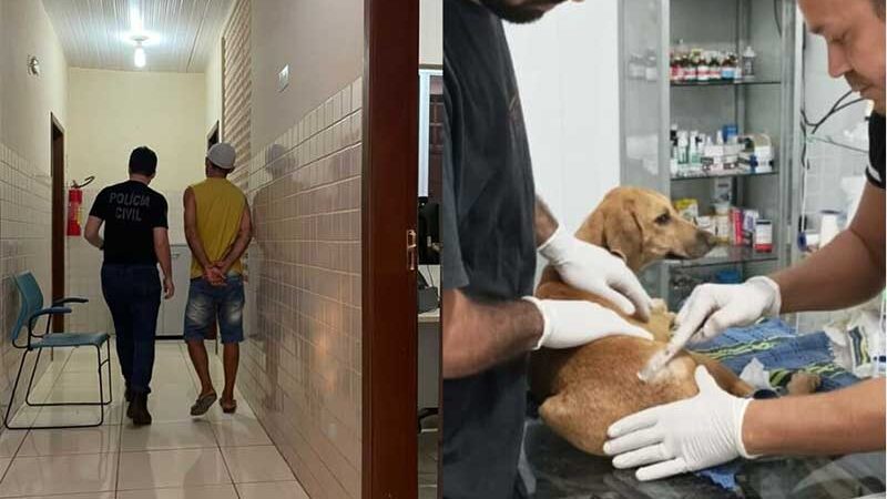 Homem é preso por atirar com arma de pressão em cachorra de vizinha, em Itaituba, PA