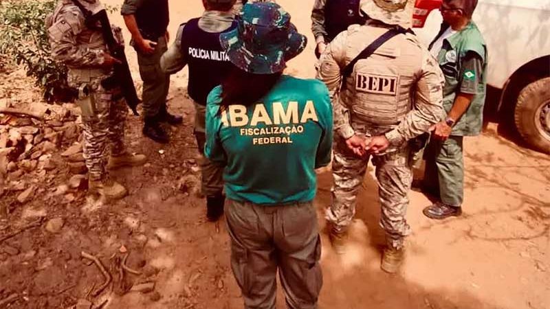 Operação do Ibama resgata mais de 70 animais em cativeiro e aplica R$ 64 mil em multas no Piauí e Ceará