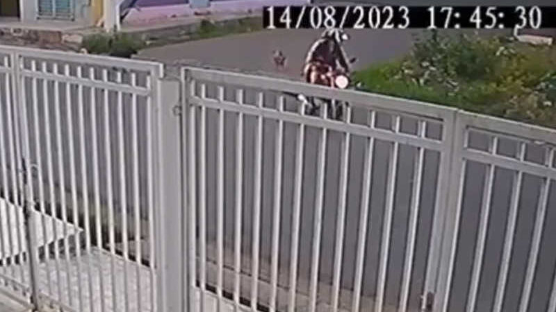 Câmeras flagram cadela sendo arrastada no asfalto pelas tutoras em uma motocicleta, em Picos, PI