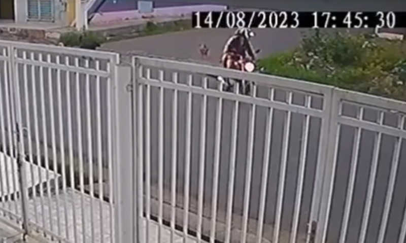 Câmeras flagram cadela sendo arrastada no asfalto pelas tutoras em uma motocicleta, em Picos, PI