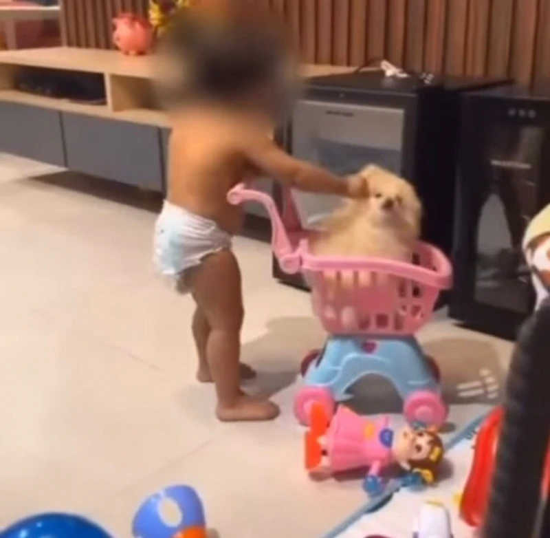 Mãe incentiva filha a maltratar cachorro em Teresina (PI); caso foi denunciado à polícia; vídeo