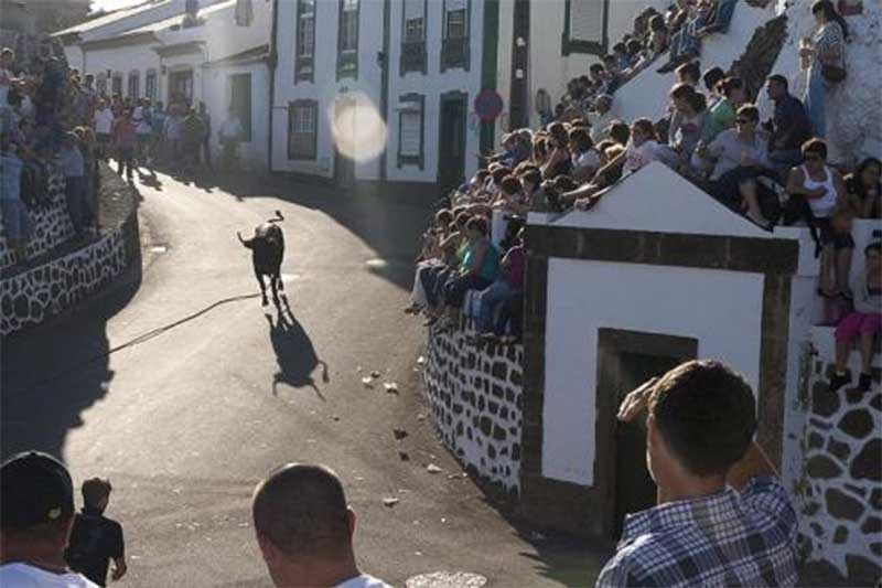 Açores: Bloco questiona morte de touros em tourada à corda