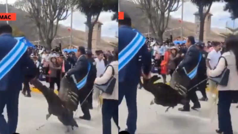 Presidente da Câmara acorrentou e arrastou condor andino durante desfile, no Peru