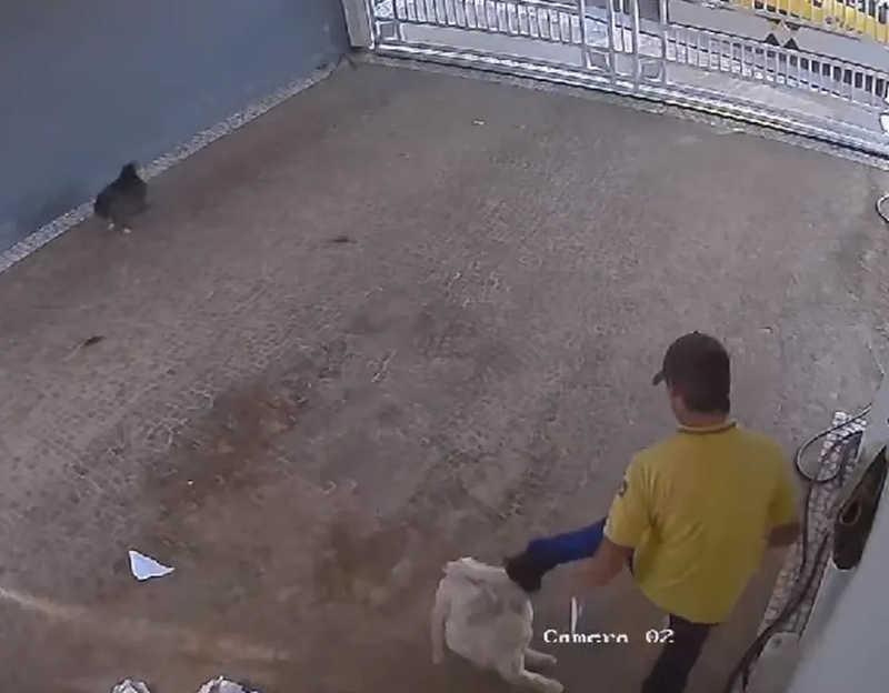 Carteiro é flagrado chutando cachorro durante entrega de encomenda no interior de SP; vídeo