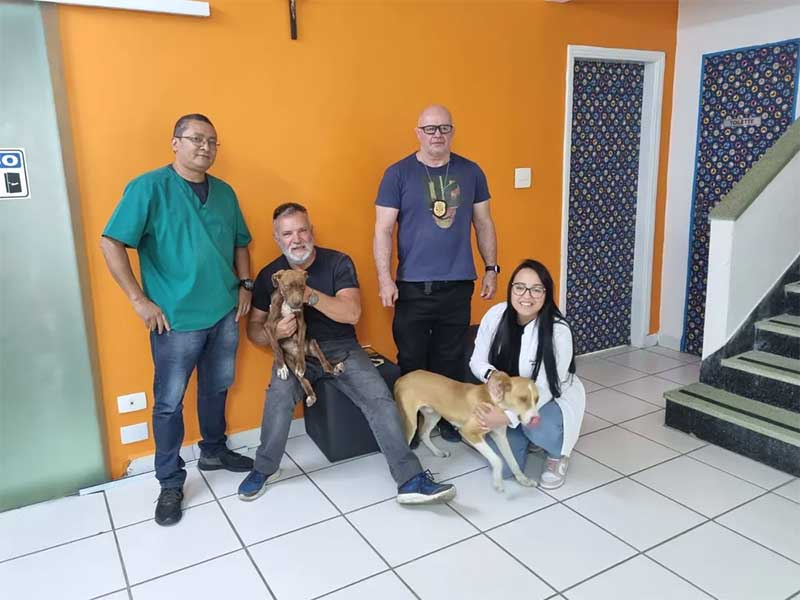 Dois cachorros são resgatados desnutridos e em situação de maus-tratos em São José dos Campos, SP