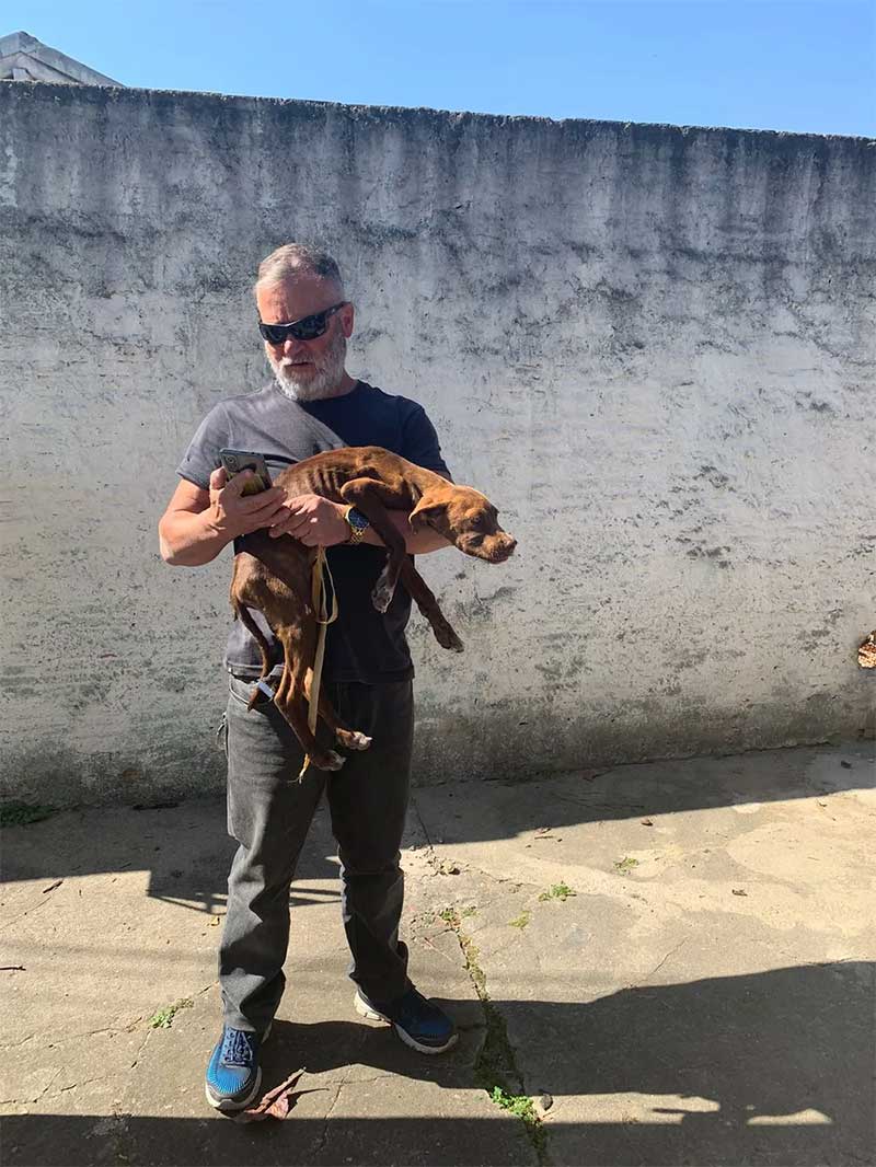 Dois cachorros são resgatados desnutridos e em situação de maus-tratos em São José dos Campos, SP. — Foto: Divulgação/PC