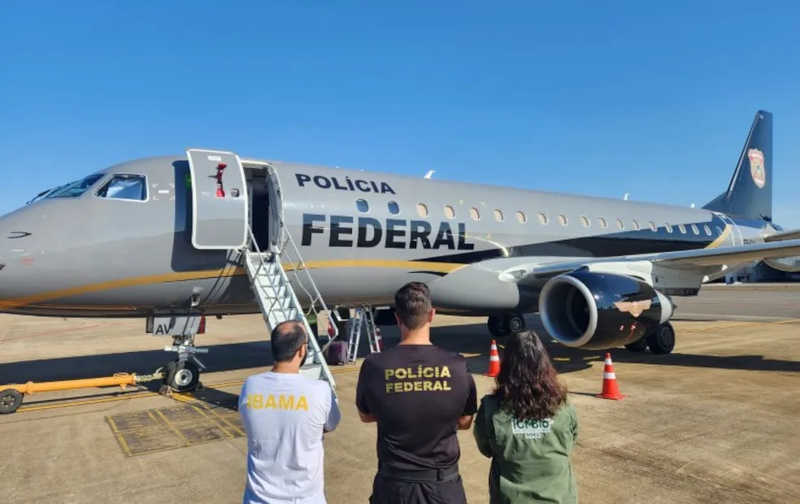Avião da PF participou de operação para buscar animais no Suriname — Foto: Polícia Federal