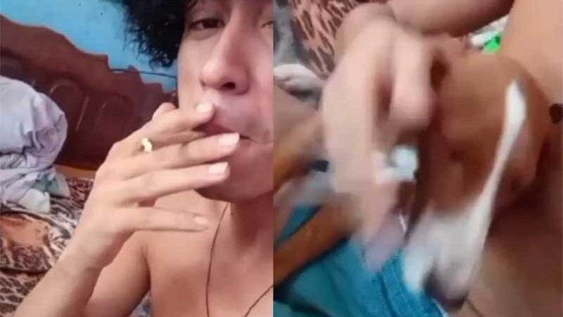 Cachorro que era obrigado a fumar maconha é resgatado em Manaus; vídeo