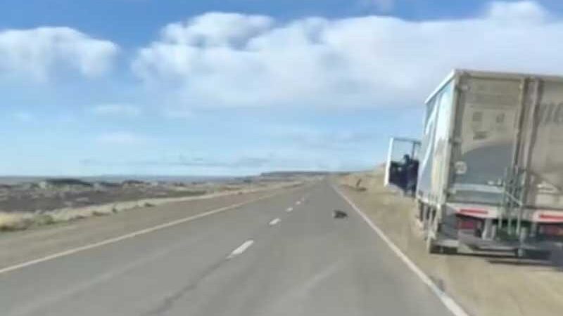Homem estranha caminhoneiro saindo na estrada e percebe que ele está salvando uma vida