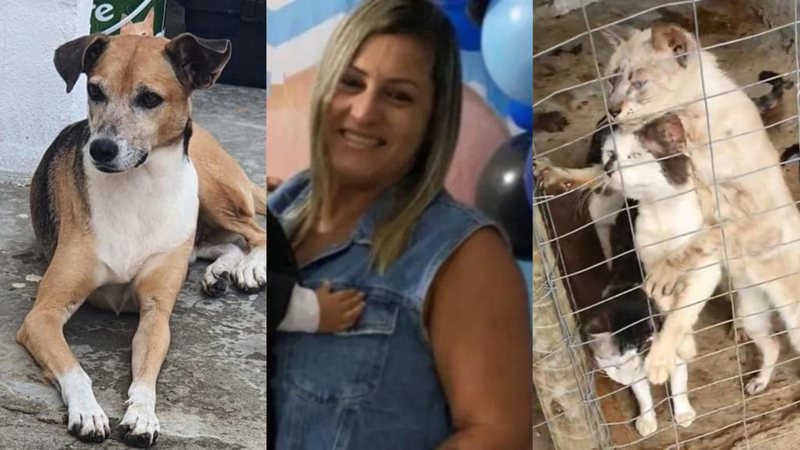 Animais de corretora assassinada em Lauro de Freitas (BA) passam por necessidades; sete já morreram