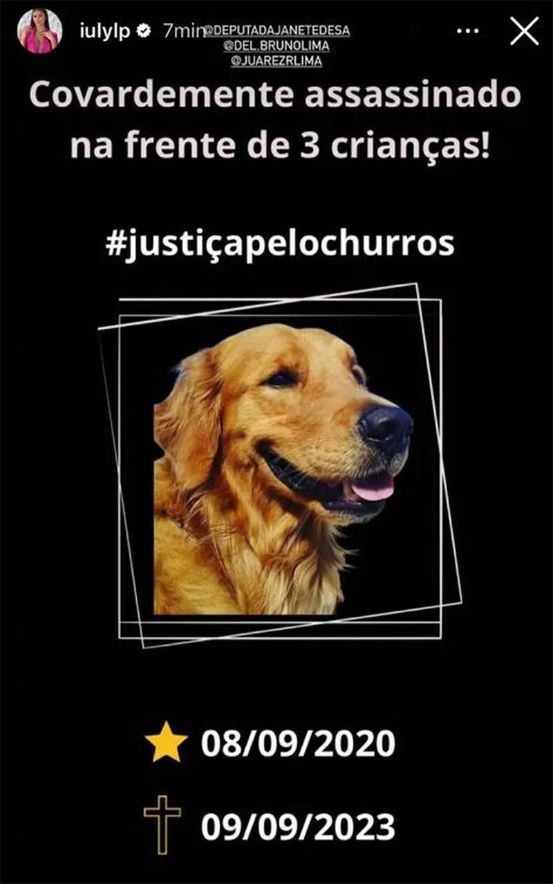 Família pede justiça pela morte do cachorro Golden Churros — Foto: Reprodução/Redes sociais