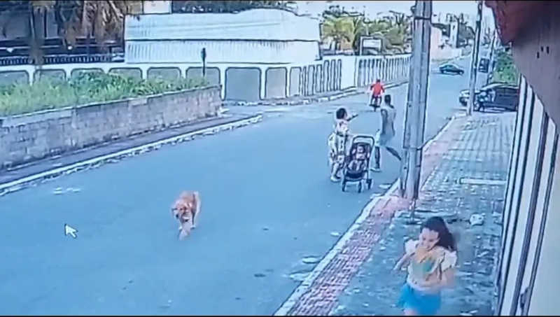 Vídeo mostra momento em que cachorro já havia sido atingido pelo disparo do policial — Foto: Reprodução