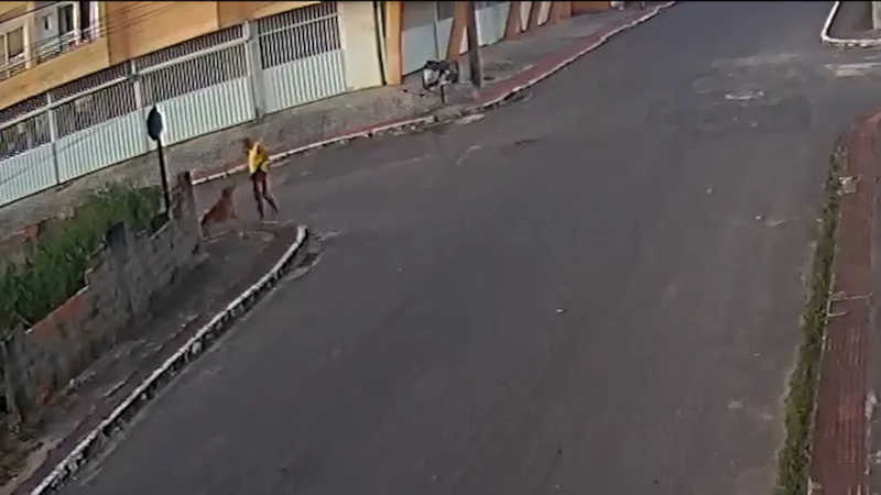 Momento em que policial atira em cachorro de influencer no meio da rua em Guarapari — Foto: Reprodução