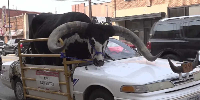 Motorista é parado pela polícia do Nebraska, EUA, dirigindo com touro enorme no banco do passageiro — Foto: Reprodução